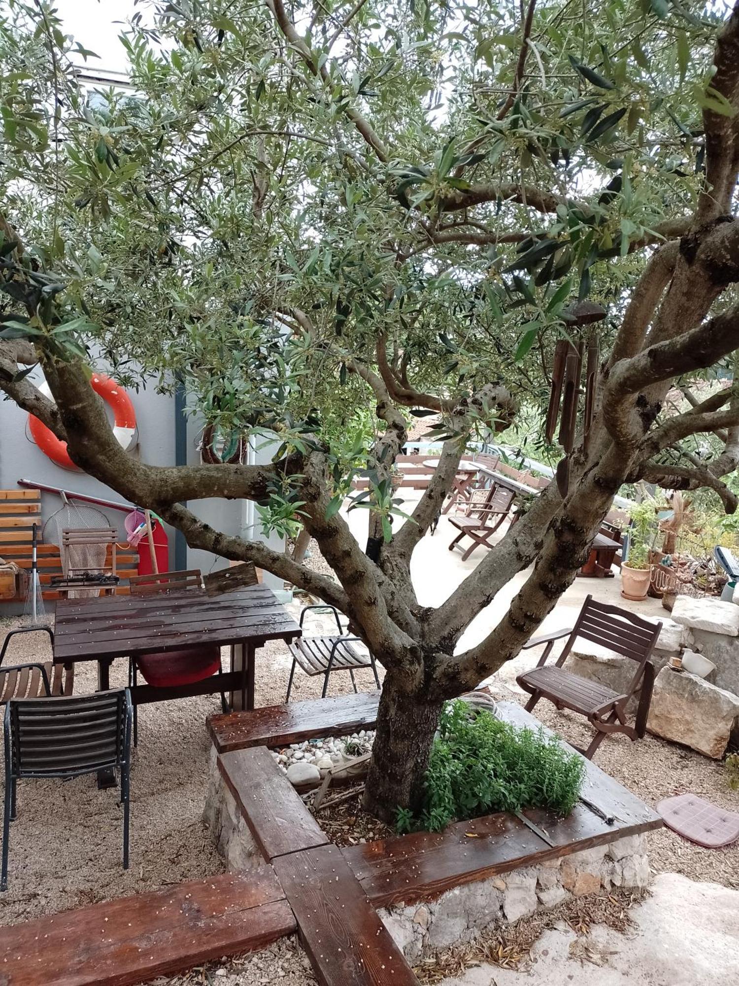 Roberto Apartment Bacina Ngoại thất bức ảnh